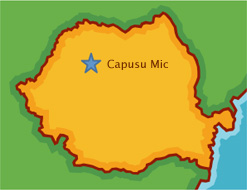 Capusu Mic